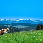 Landgasthof Alpenblick An Der Wutachschlucht Suedschwarzwald מלון