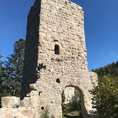 Landgasthof Alpenblick An Der Wutachschlucht Südschwarzwald 3*