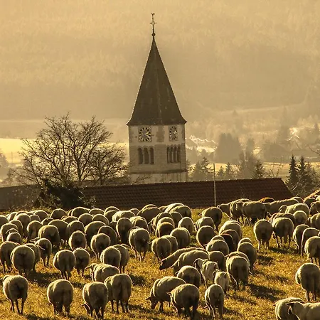 Landgasthof Alpenblick An Der Wutachschlucht Suedschwarzwald 3*