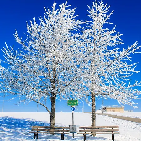 Landgasthof Alpenblick An Der Wutachschlucht Suedschwarzwald