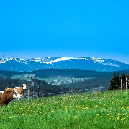 Landgasthof Alpenblick An Der Wutachschlucht Suedschwarzwald Hotel
