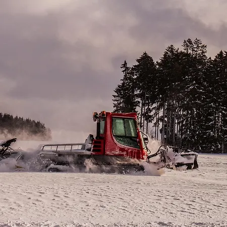 Landgasthof Alpenblick An Der Wutachschlucht Suedschwarzwald 3* Löffingen