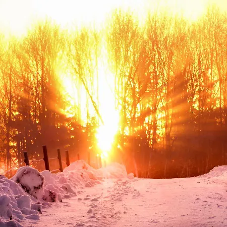 Landgasthof Alpenblick An Der Wutachschlucht Suedschwarzwald Hotel