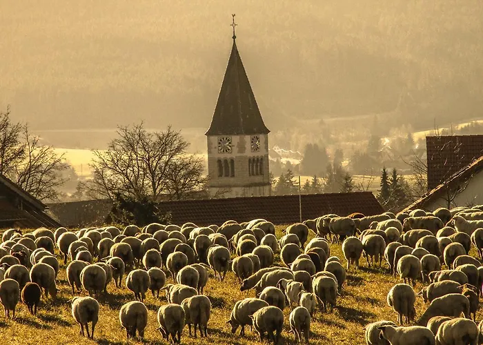 Landgasthof Alpenblick An Der Wutachschlucht Suedschwarzwald 3*